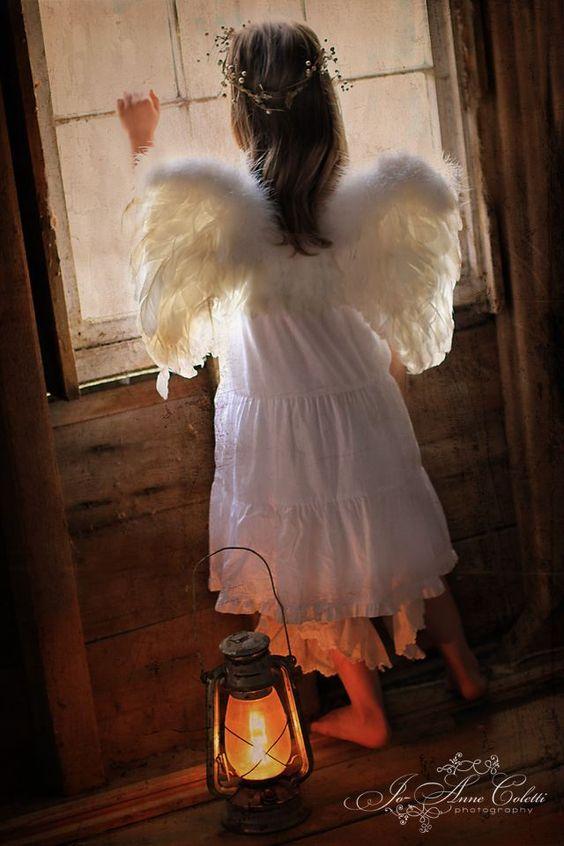 http://image.goody25.com/images/catalog/17871/20171223_15140191273785.jpg