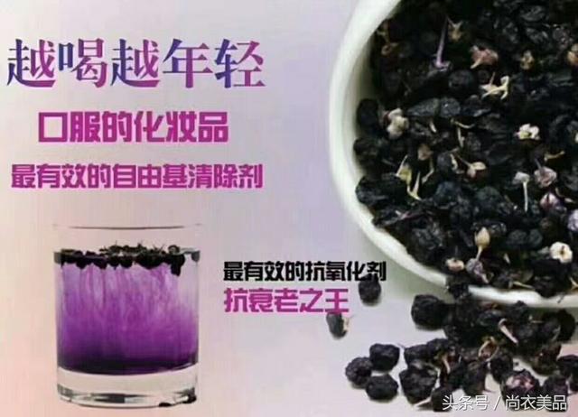 【健康饮食】【抗衰老神物- 黑枸杞 Black Goji Berry】美颜又健体的圣品!还可以【减肥】?!千万别错过!!