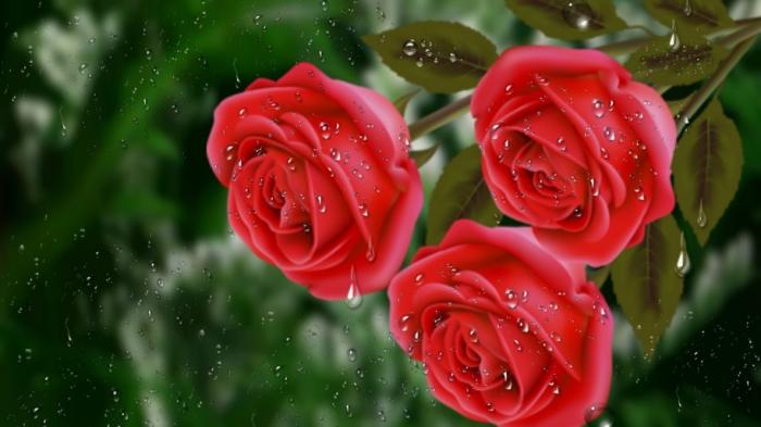 https://image.goody25.com/images/catalog/48829/20200204_15808238295731.jpeg