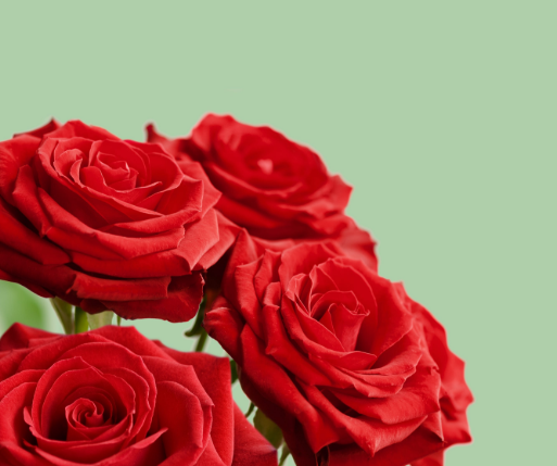 https://image.goody25.com/images/catalog/48829/20200204_15808242920201.png
