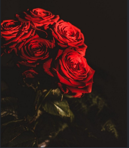 https://image.goody25.com/images/catalog/48829/20200204_15808261065381.png