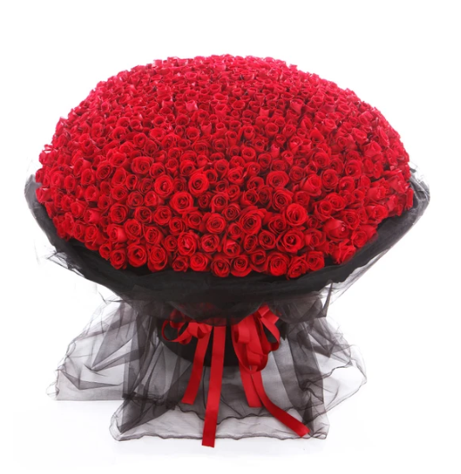 https://image.goody25.com/images/catalog/48829/20200204_15808279532181.png