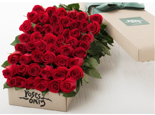 https://image.goody25.com/images/catalog/48829/20200204_15808304440461.png