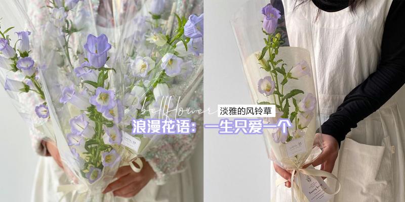 女性 韩系淡紫色的 风铃草 外形像个吊钟 有着浪漫的花语 背后还有着一段凄美的传说