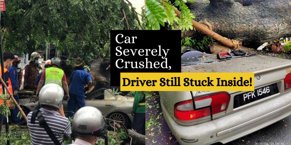 WATCH: Large Tree Crushed A Car In Penang With Passenger Still Stuck Inside