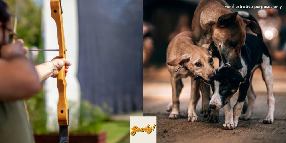 Uztaz Killing Dogs With Bow & Arrow, Neighbours Express Concerns