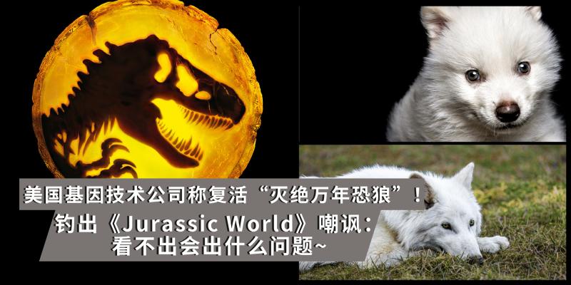 【新闻】美国基因技术公司称成功复活”灭绝万年恐狼” | 钓出《Jurassic World》官方发文嘲讽:看不出会出什么问题~